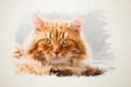 A large red fluffy cat with amber eyes is looking at us. Illustration for postcard and notebook cover