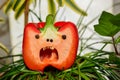 A large red pepper cut in half stands in the grass, looks like a face Royalty Free Stock Photo