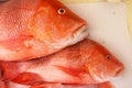 Large red snapper on the floor of the boat