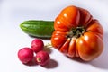 Large red tomato cucumber and radish on a white background Royalty Free Stock Photo