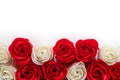 Large red and white flowers, roses on a white background