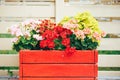 Large Red wooden pot with flower. Street wood pot with flowers in outdoor Royalty Free Stock Photo