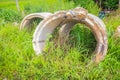 Large reinforced concrete drainage pipes were scattered on green