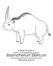 A large rhinoceros Elasmotherium Sibiricum