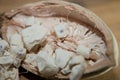 Large ripe cut baobab fruit with white flesh