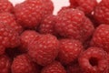 Large ripe fresh raspberry