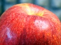 A large ripe gala apple, a macro  shot Royalty Free Stock Photo