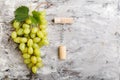 Large ripe green Riesling grape grone corkscrew and wine cork stopper. Ripe juicy green grapes on light gray concrete background Royalty Free Stock Photo