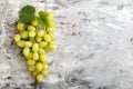 Large ripe green Riesling grape grone. Ripe juicy grapes with vine foliage on light gray concrete background with copy space top Royalty Free Stock Photo