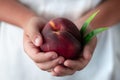 Large, ripe peach with leaves in the hands of a child Royalty Free Stock Photo