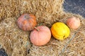 Large ripe pumpkins lie on straw bales Royalty Free Stock Photo