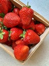large ripe strawberries, juicy red fruits, small seeds