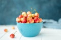 large ripe yellow pink cherries in a blue bowl Royalty Free Stock Photo