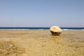 Large rock on beach