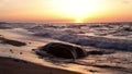 A large rock on the beach at sunset