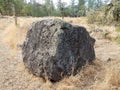 Large rock or boulder from cooled lava and brown grasses and trees in Oregon City, Oregon