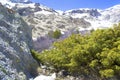 A large rock and juniper bush