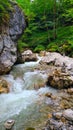 A rock overhangs a mountain stream in a canyon against a forest backdrop Royalty Free Stock Photo