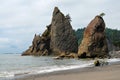 Olympic National Park landscapes, Washington, USA