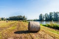 Large roll of harvested grass in the foreground of a large field