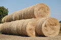 Large rolls of hay