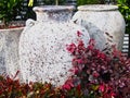 Large White Glazed Ceramic Urns and Red Shrub Royalty Free Stock Photo