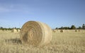 Large Round Bale of Hay in Field.