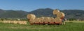 Large round bales of hay being loaded onto a trailer in Bientina, Italy, with Monte Serra in the background Royalty Free Stock Photo