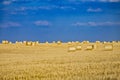 Large round cylindrical straw or hay bales in countryside on yellow wheat field in summer or autumn after harvesting on sunny day