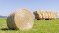 A large round hay bale in a field in the Tuscan countryside, with a trailer full of hay bales in the background, Italy