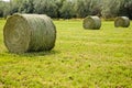 Large round hay bales agriculture alfalfa grass Royalty Free Stock Photo