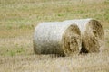 Large round hay bales Royalty Free Stock Photo