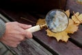 Large round magnifier on long handle in hand of naturalist