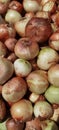 large round onions in a pile Royalty Free Stock Photo