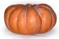 Large round ribbed pumpkin orange color, side view close-up