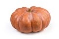 Large round ribbed pumpkin orange color on a white background Royalty Free Stock Photo