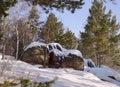 Big stones in the winter forest Royalty Free Stock Photo