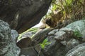 Large round stones on the shore. Round rocks and tropical plants. Royalty Free Stock Photo