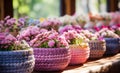 a large row of colorful baskets of flowers sitting on a table Royalty Free Stock Photo