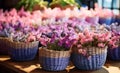 a large row of colorful baskets of flowers sitting on a table Royalty Free Stock Photo