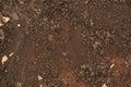 Large Rust backgrounds , perfect background with space for text or image, Background and texture of rusty on iron with vintage