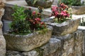 Large and rustic flower pots in a garden courtyard. Patio decoration elements. Big flower pot with small plants. Street decoration Royalty Free Stock Photo