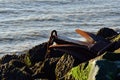 Large rusty anchor on group of rocks Royalty Free Stock Photo