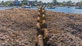 Large rusty chain in the harbor on a large rock Royalty Free Stock Photo