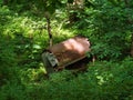 Large rusty metal in the woods at Big Bull Creek Park in Edgerton Kansas