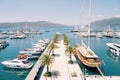 Large sailing yacht is moored at a pier with green palm trees opposite motor yachts