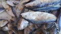 Large salted fish piled up in traditional market