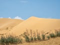 Large sand dune against the blue sky Royalty Free Stock Photo