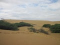 Large sand dunes in a desert in Venezuela in Los Medanos National Park on a cloudy day with green vegetation below the dunes.