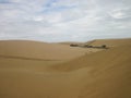 Large sand dunes in a desert in Venezuela in Los Medanos National Park on a cloudy day with vegetation below the dunes